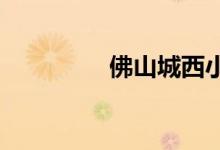 佛山城西小學的地址在哪