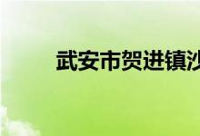武安市賀進鎮(zhèn)沙名中學(xué)的地址在哪