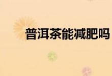 普洱茶能減肥嗎？生茶和熟茶哪個好