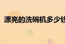 漂亮的洗碗機(jī)多少錢？漂亮的洗碗機(jī)好用嗎