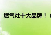燃?xì)庠钍笃放疲。ㄊ笕細(xì)庠钆判邪?！）