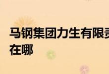 馬鋼集團力生有限責(zé)任公司第一幼兒園的地址在哪