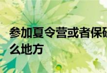 參加夏令營或者保研的時(shí)候提交材料作用在什么地方