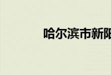 哈爾濱市新陽中學(xué)的地址在哪