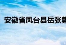 安徽省鳳臺縣岳張集鎮(zhèn)觀音中學(xué)的地址在哪
