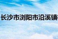 長沙市瀏陽市沿溪鎮(zhèn)梓山完全小學(xué)的地址在哪