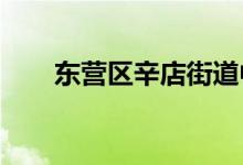 東營區(qū)辛店街道中心小學(xué)的地址在哪