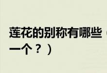 蓮花的別稱有哪些（荷花的十大別稱你喜歡哪一個？）