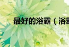 最好的浴霸（浴霸哪個(gè)牌子質(zhì)量好？）