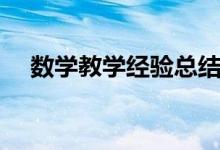數(shù)學(xué)教學(xué)經(jīng)驗總結(jié)（初中數(shù)學(xué)教學(xué)心得）
