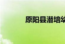 原陽(yáng)縣潛培幼兒園的地址在哪