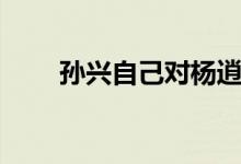 孫興自己對楊逍的評價（楊逍的真）