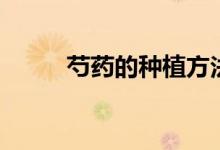 芍藥的種植方法（如何種植芍藥）