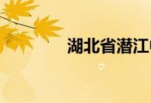 湖北省潛江中學的地址在哪