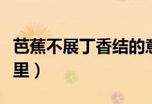 芭蕉不展丁香結(jié)的意思是什么（原來(lái)奧秘在這里）