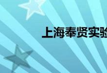 上海奉賢實驗中學的地址在哪