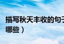 描寫秋天豐收的句子（關于秋天豐收的句子有哪些）