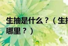生抽是什么？（生抽、老抽、醬油……區(qū)別在哪里？）