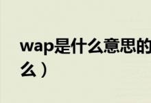 wap是什么意思的縮寫(wap縮寫意思是什么)