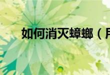 如何消滅蟑螂（用這四個(gè)方法來消滅）