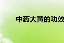 中藥大黃的功效（大黃的功效介紹）