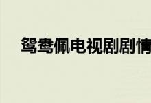 鴛鴦佩電視劇劇情（鴛鴦佩電視劇簡(jiǎn)介）