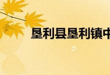 墾利縣墾利鎮(zhèn)中心小學的地址在哪