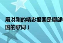屠洪剛的精忠報國是哪部電視劇的主題曲（屠洪剛的精忠報國的歌詞）