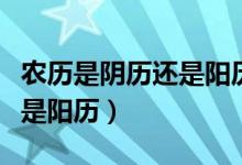 農(nóng)歷是陰歷還是陽(yáng)歷簡(jiǎn)單理解（農(nóng)歷是陰歷還是陽(yáng)歷）