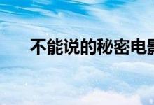 不能說(shuō)的秘密電影解析（劇情是什么）