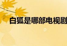 白狐是哪部電視劇的歌（簡(jiǎn)單介紹一下）