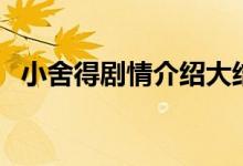 小舍得劇情介紹大結局（小舍得的大結局）