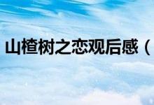 山楂樹之戀觀后感（看山楂樹之戀有感范文）