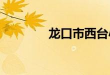 龍口市西臺小學(xué)的地址在哪