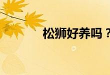 松獅好養(yǎng)嗎？松獅的保養(yǎng)方法