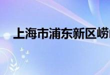 上海市浦東新區(qū)嶗山西路小學的地址在哪