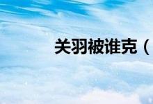 關羽被誰克（關羽被誰殺死的）