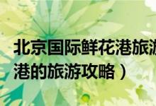 北京國(guó)際鮮花港旅游攻略（關(guān)于北京國(guó)際鮮花港的旅游攻略）