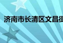 濟南市長清區(qū)文昌街道新屯小學的地址在哪