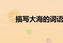 描寫大海的詞語（寫大海的詞盤點(diǎn)）