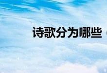 詩(shī)歌分為哪些（詩(shī)歌分為哪幾類(lèi)）