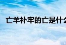 亡羊補(bǔ)牢的亡是什么意思(亡羊補(bǔ)牢的亡)