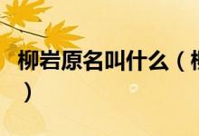 柳巖原名叫什么（柳巖什么時候進(jìn)入演藝圈的）