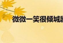 微微一笑很傾城劇情(該劇主演是誰)