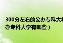 300分左右的公辦專科大學(xué)全國（2022高考300分左右的公辦?？拼髮W(xué)有哪些）