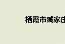棲霞市臧家莊小學的地址在哪