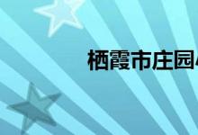 棲霞市莊園小學的地址在哪