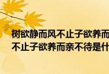 樹欲靜而風(fēng)不止子欲養(yǎng)而親不待是什么意思?（樹欲靜而風(fēng)不止子欲養(yǎng)而親不待是什么意思）