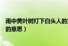 雨中黃葉樹燈下白頭人的意思（詩句雨中黃葉樹燈下白頭人的意思）