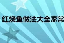 紅燒魚做法大全家常（紅燒魚家常做法大全）